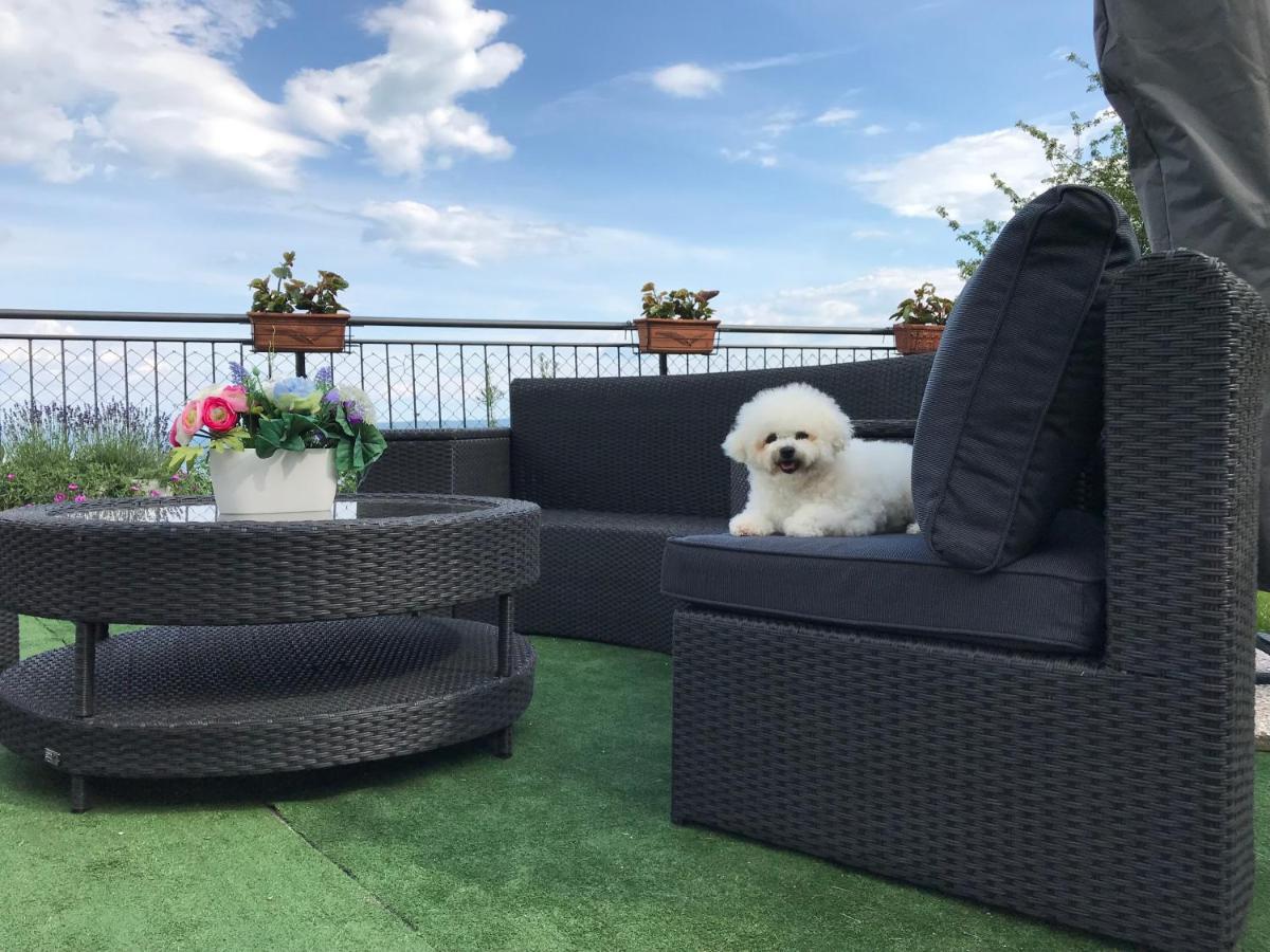 Apartman Nicole Moscenicka Draga Luaran gambar